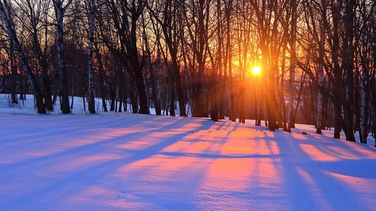 Зимнее солнцестояние. Сегодня самый короткий день в году и начало астрологической зимы