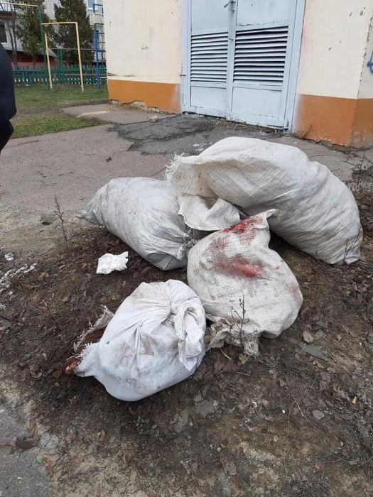 В Сумской области нашли два мешка с трупами зарезанных котов и собак