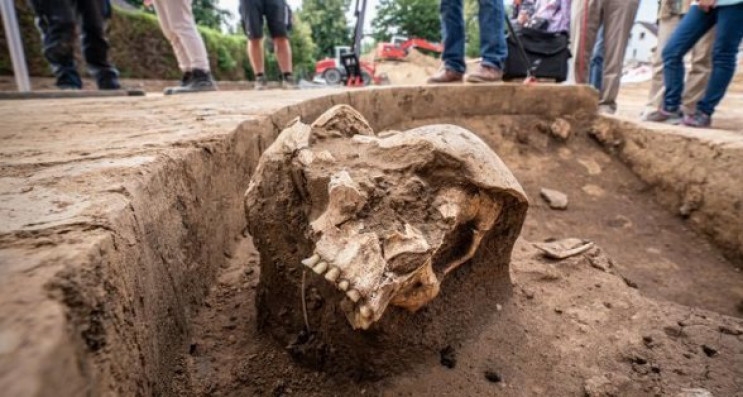 В Первомайске возле ж/д станции найден череп человека отдельно от тела