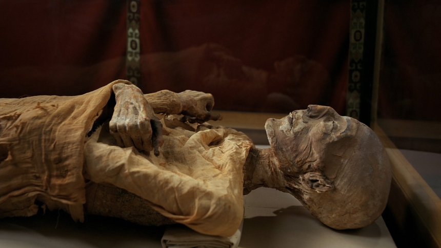 У древних мумий нашли современные болезни