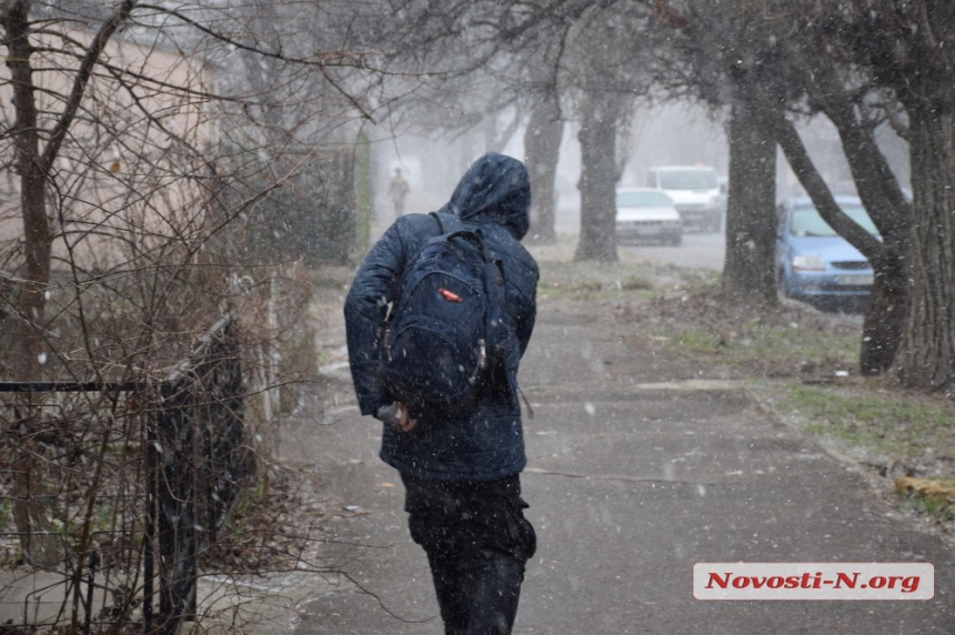 В Николаеве прошел первый снег. ВИДЕО