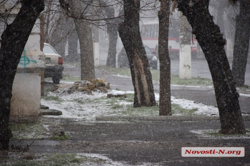 В Николаеве прошел первый снег. ВИДЕО