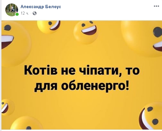 «Продать собаку ради оплаты коммуналки»: николаевцы делятся фото своих питомцев и высмеивают нардепа