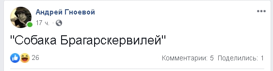 «Продать собаку ради оплаты коммуналки»: николаевцы делятся фото своих питомцев и высмеивают нардепа