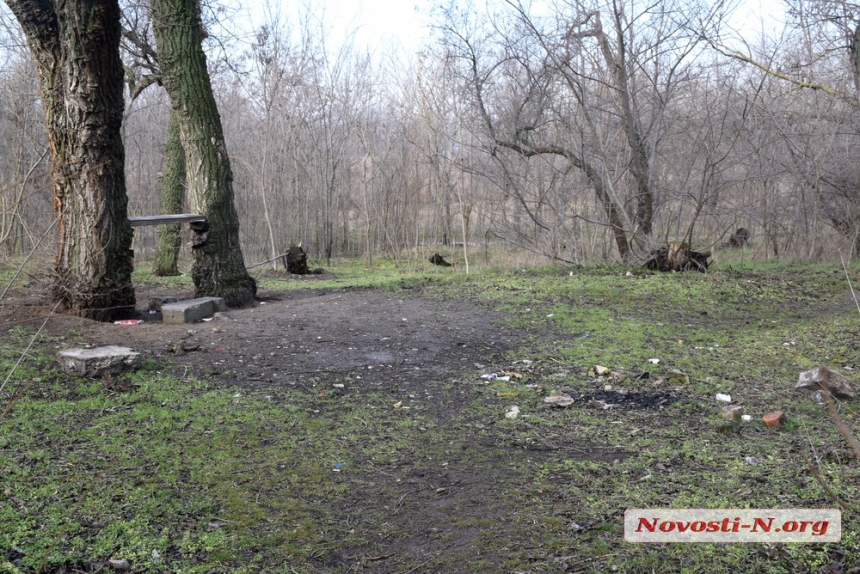 Борьба с окурками и бутылками: насколько в Николаеве чист «зимний» парк Победы 
