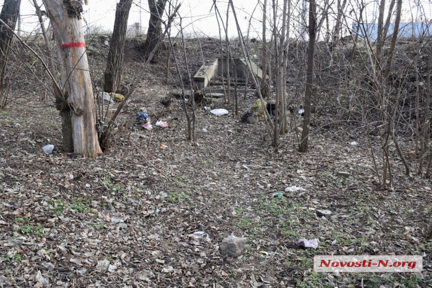 Борьба с окурками и бутылками: насколько в Николаеве чист «зимний» парк Победы 