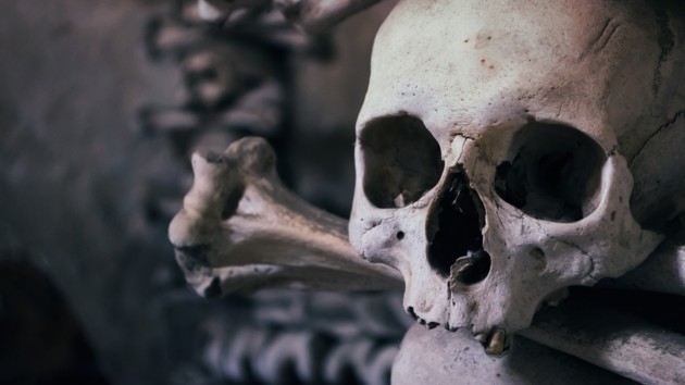 В Харькове людей напугал человеческий скелет возле остановки