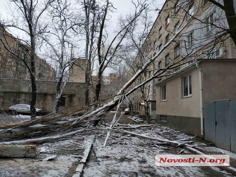 В Николаеве из-за непогоды рухнули два дерева: одно разбило автомобиль, второе упало на дом