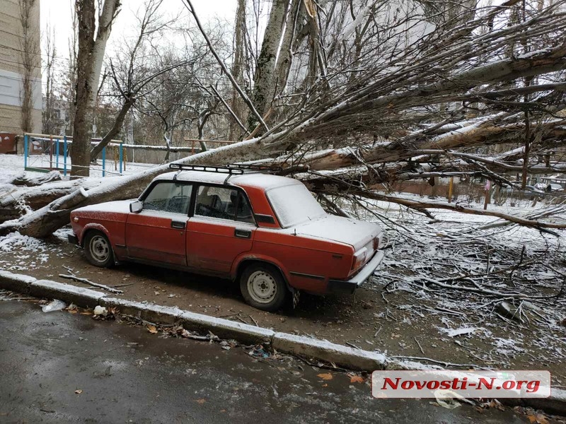 В центре Николаева тополь упал на припаркованный «ВАЗ»