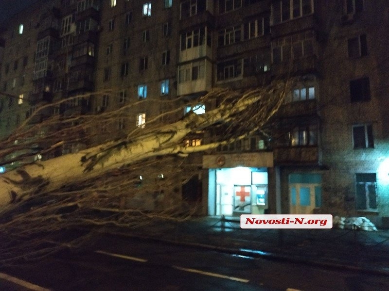 Непогода в Николаеве: падающие деревья и скользкая площадь. ФОТОРЕПОРТАЖ