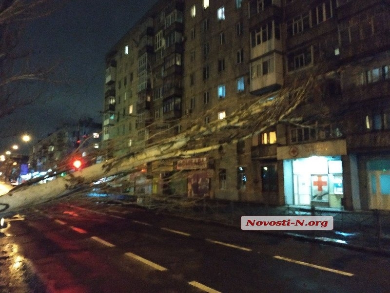 Непогода в Николаеве: падающие деревья и скользкая площадь. ФОТОРЕПОРТАЖ