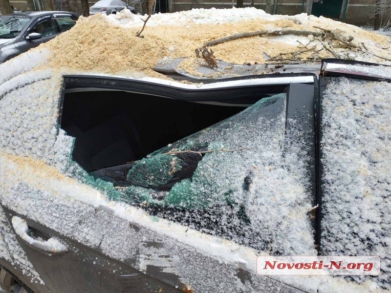 Непогода в Николаеве: падающие деревья и скользкая площадь. ФОТОРЕПОРТАЖ