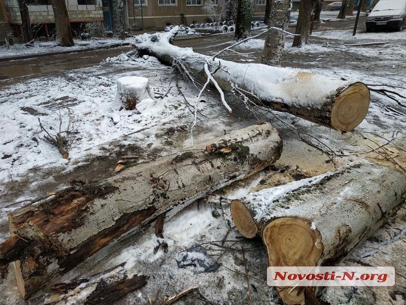 Непогода в Николаеве: падающие деревья и скользкая площадь. ФОТОРЕПОРТАЖ