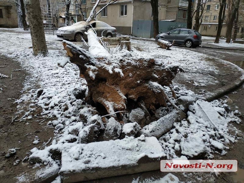 Непогода в Николаеве: падающие деревья и скользкая площадь. ФОТОРЕПОРТАЖ