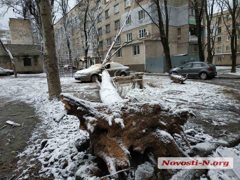 Непогода в Николаеве: падающие деревья и скользкая площадь. ФОТОРЕПОРТАЖ