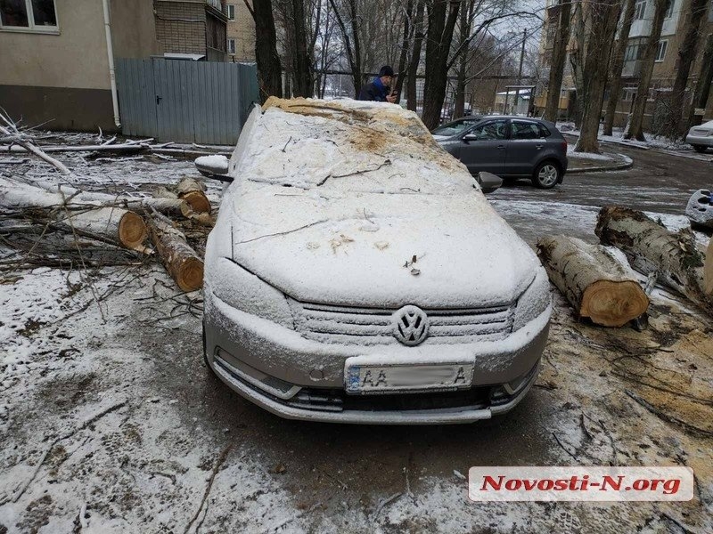 Непогода в Николаеве: падающие деревья и скользкая площадь. ФОТОРЕПОРТАЖ