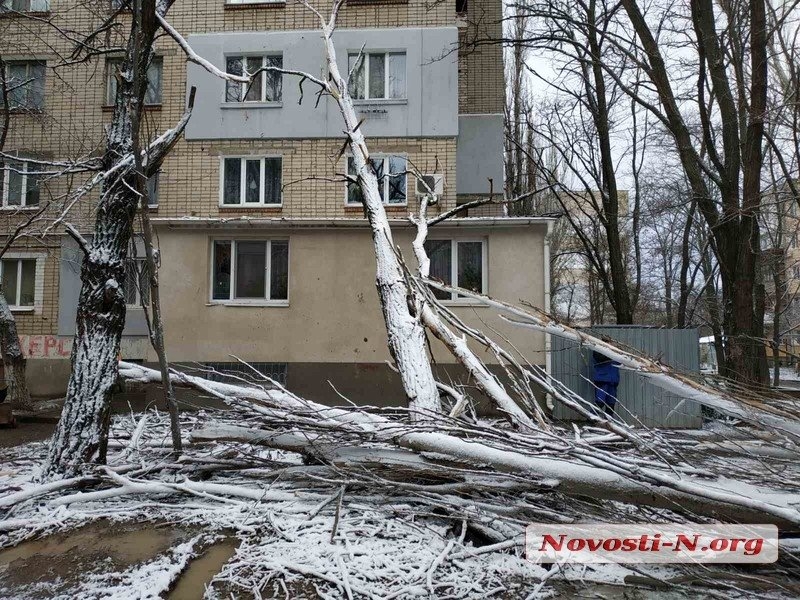 Непогода в Николаеве: падающие деревья и скользкая площадь. ФОТОРЕПОРТАЖ