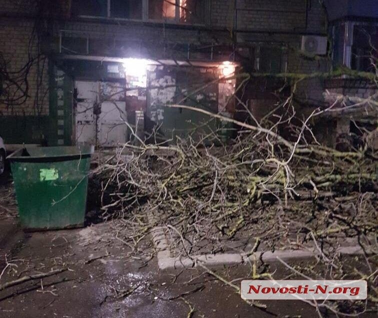Непогода в Николаеве: падающие деревья и скользкая площадь. ФОТОРЕПОРТАЖ