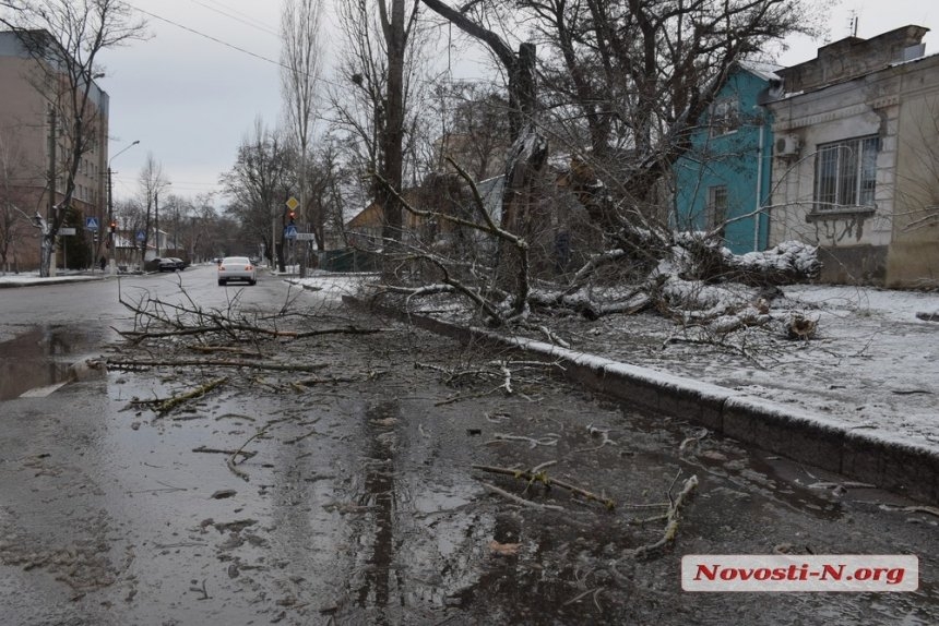 Непогода в Николаеве: падающие деревья и скользкая площадь. ФОТОРЕПОРТАЖ