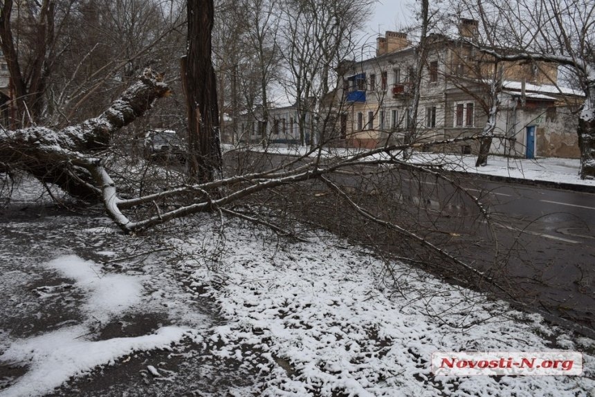 Непогода в Николаеве: падающие деревья и скользкая площадь. ФОТОРЕПОРТАЖ