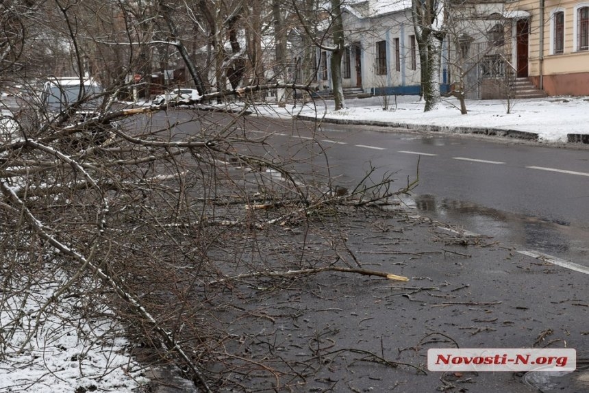 Непогода в Николаеве: падающие деревья и скользкая площадь. ФОТОРЕПОРТАЖ