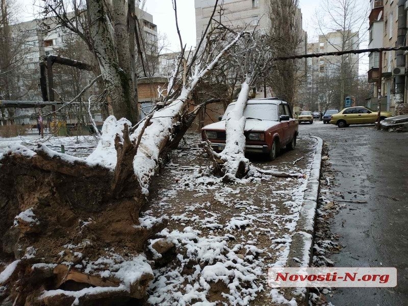 Непогода в Николаеве: падающие деревья и скользкая площадь. ФОТОРЕПОРТАЖ