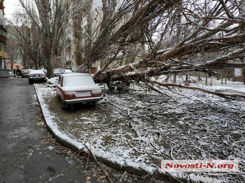 Непогода в Николаеве: падающие деревья и скользкая площадь. ФОТОРЕПОРТАЖ