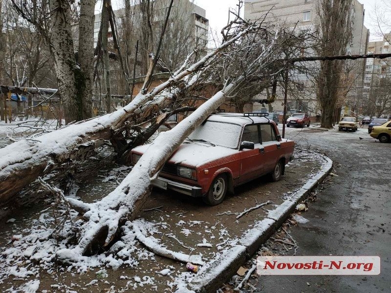 Непогода в Николаеве: падающие деревья и скользкая площадь. ФОТОРЕПОРТАЖ