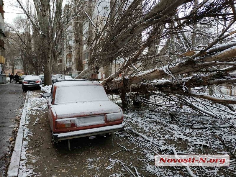 Непогода в Николаеве: падающие деревья и скользкая площадь. ФОТОРЕПОРТАЖ