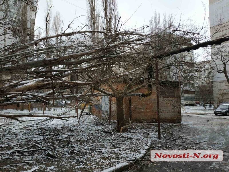 Непогода в Николаеве: падающие деревья и скользкая площадь. ФОТОРЕПОРТАЖ