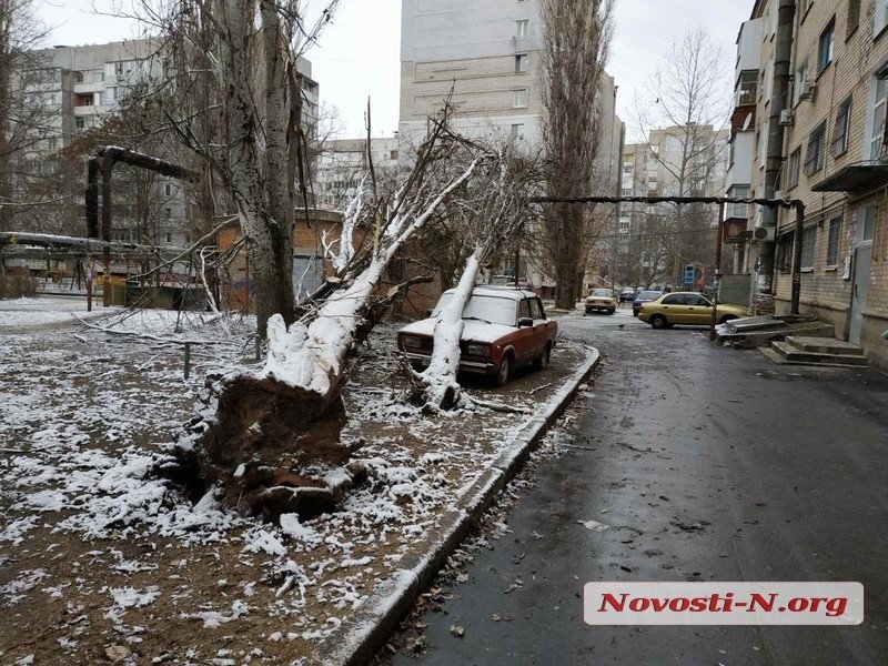 Непогода в Николаеве: падающие деревья и скользкая площадь. ФОТОРЕПОРТАЖ