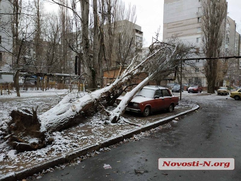 Непогода в Николаеве: падающие деревья и скользкая площадь. ФОТОРЕПОРТАЖ