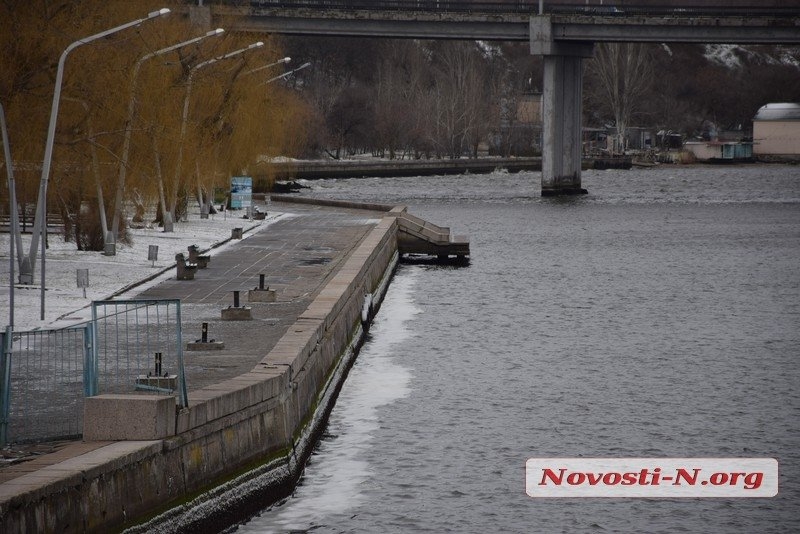 Непогода в Николаеве: падающие деревья и скользкая площадь. ФОТОРЕПОРТАЖ