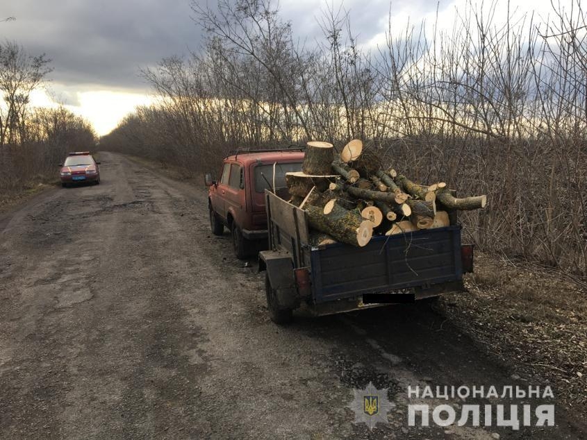 На Николаевщине задержали  браконьера, который незаконно рубил клены