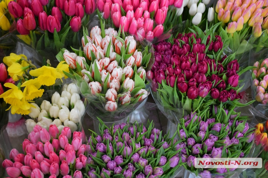 Букет ко Дню святого Валентина: сколько стоят цветы в Николаеве