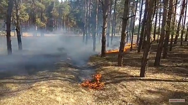 В Матвеевском лесу под Николаевом вспыхнул пожар