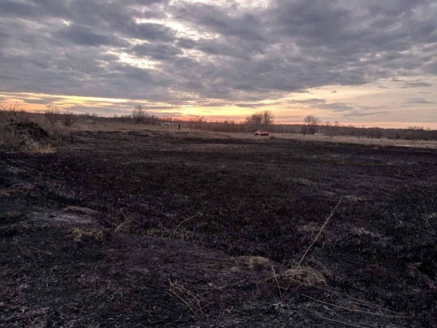 На Николаевщине из-за поджога выгорело 2 гектара камыша