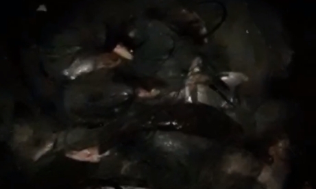 На Николаевщине браконьер наловил 184 кг рыбы - его задержали