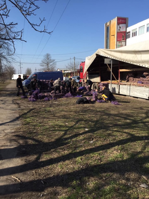 «Антисанитария и гнилой запах»: николаевцы потребовали убрать с газона торговцев картошкой