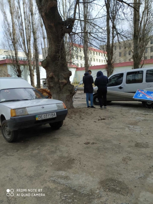 В Николаеве штормовой ветер валит деревья: повреждены автомобили, перекрыты улицы. ОБНОВЛЯЕТСЯ