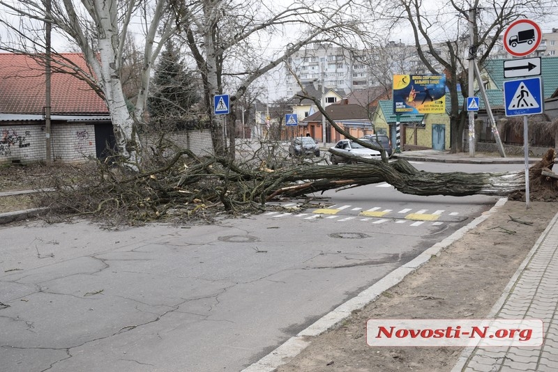 В Николаеве штормовой ветер валит деревья: повреждены автомобили, перекрыты улицы. ОБНОВЛЯЕТСЯ