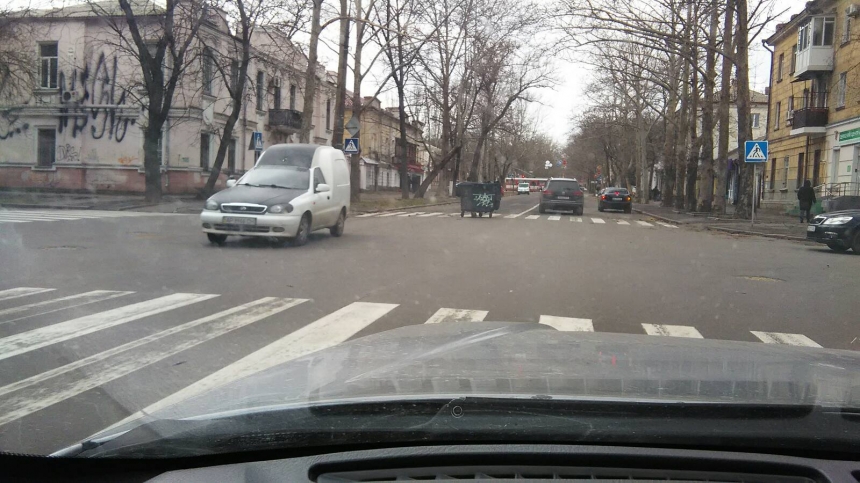 В Николаеве штормовой ветер валит деревья: повреждены автомобили, перекрыты улицы. ОБНОВЛЯЕТСЯ