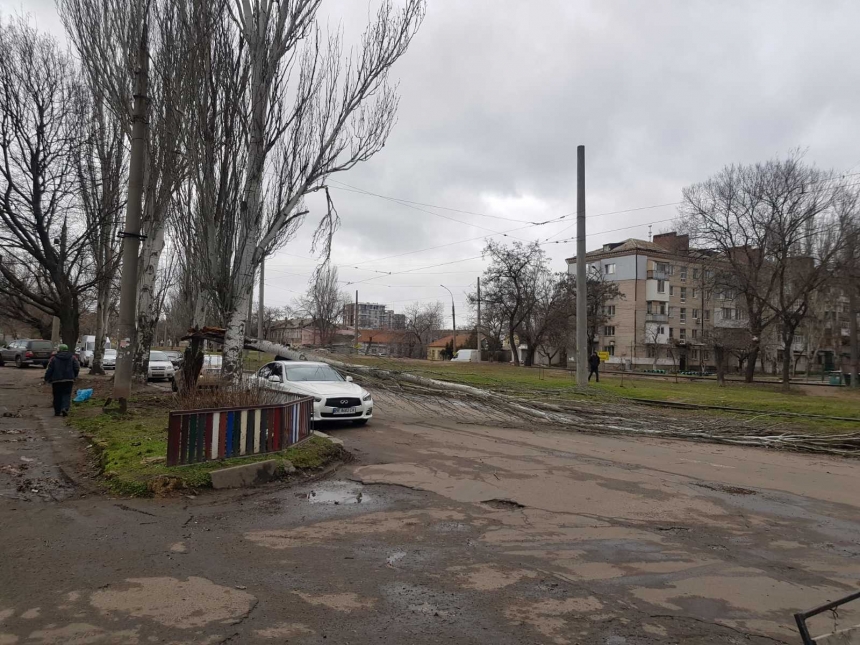 В Николаеве штормовой ветер валит деревья: повреждены автомобили, перекрыты улицы. ОБНОВЛЯЕТСЯ