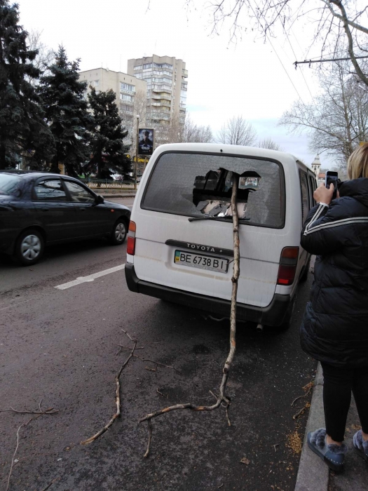 В Николаеве штормовой ветер валит деревья: повреждены автомобили, перекрыты улицы. ОБНОВЛЯЕТСЯ