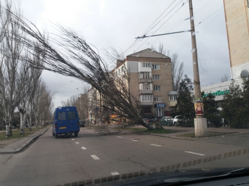 В Николаеве штормовой ветер валит деревья: повреждены автомобили, перекрыты улицы. ОБНОВЛЯЕТСЯ