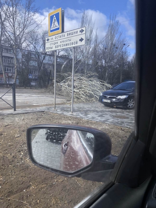 В Николаеве штормовой ветер валит деревья: повреждены автомобили, перекрыты улицы. ОБНОВЛЯЕТСЯ