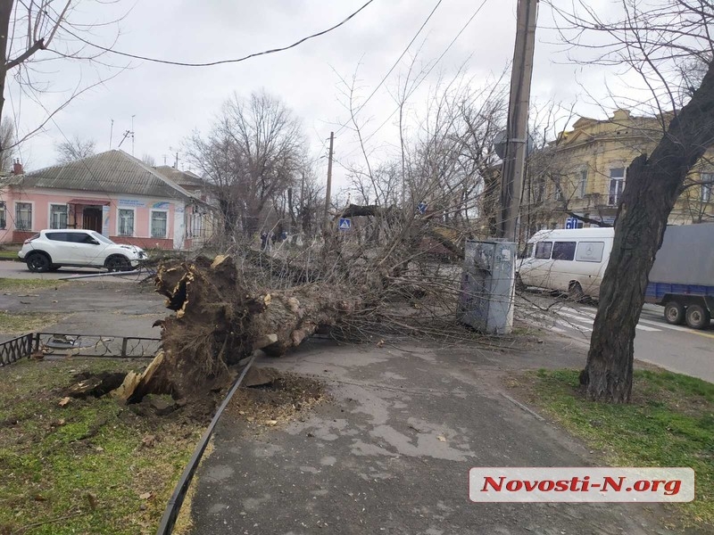 В Николаеве штормовой ветер валит деревья: повреждены автомобили, перекрыты улицы. ОБНОВЛЯЕТСЯ