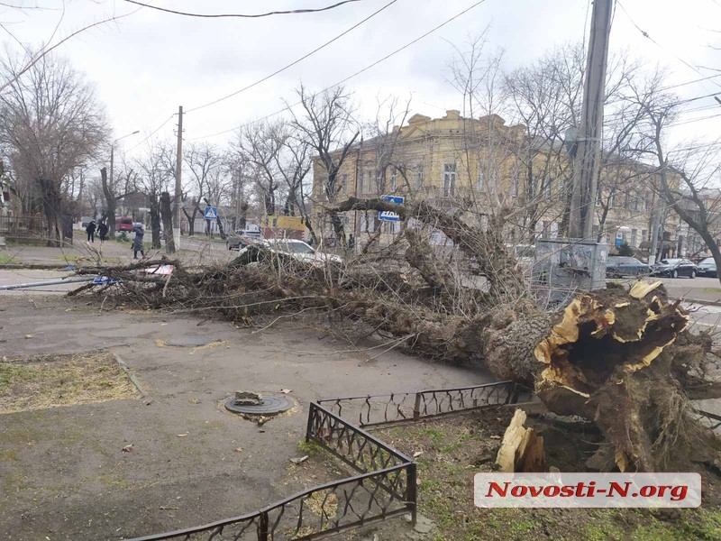 В Николаеве штормовой ветер валит деревья: повреждены автомобили, перекрыты улицы. ОБНОВЛЯЕТСЯ