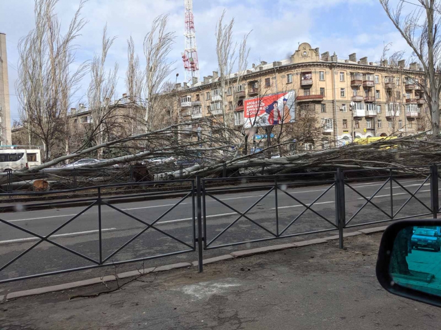 В Николаеве штормовой ветер валит деревья: повреждены автомобили, перекрыты улицы. ОБНОВЛЯЕТСЯ