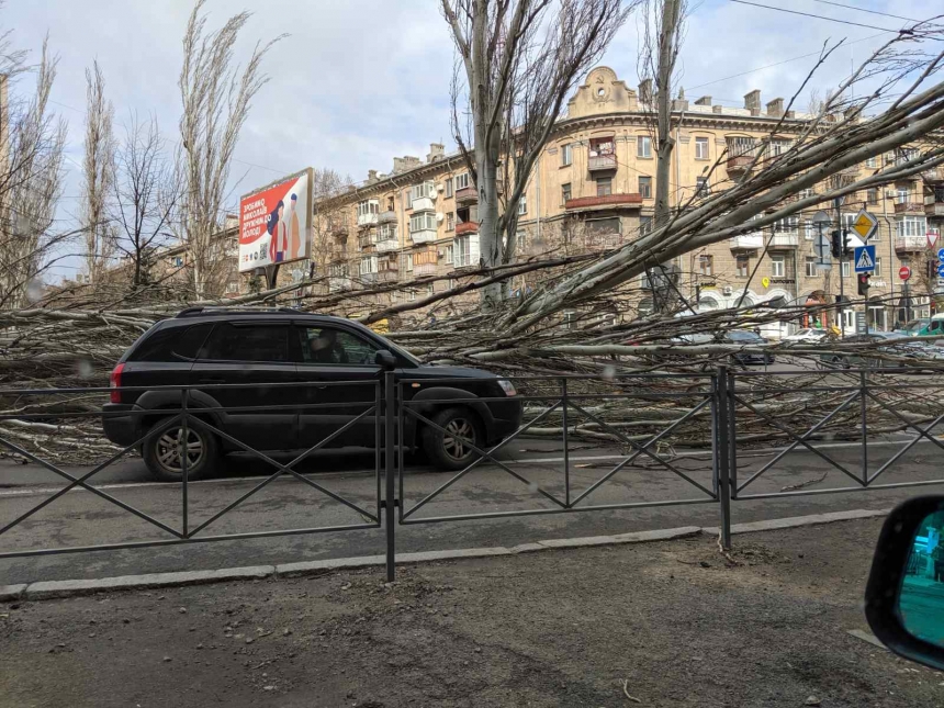 В Николаеве штормовой ветер валит деревья: повреждены автомобили, перекрыты улицы. ОБНОВЛЯЕТСЯ